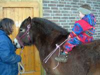 ChristinaVerf&uuml;rth gibt einen Start ins Reiterleben auf einem ihrer Exmoors